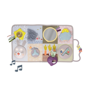 Developmental Activity center